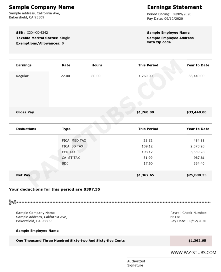 Pay Stub Instant Pay Stub Free Pays Stub Template Generator pay-stub-instant-pay-stub-free-pays-stub-template-generator