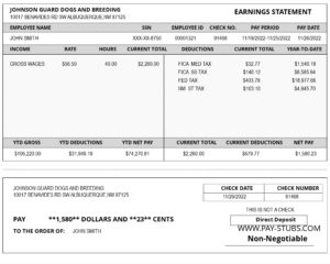 New Mexico Paystub Generator