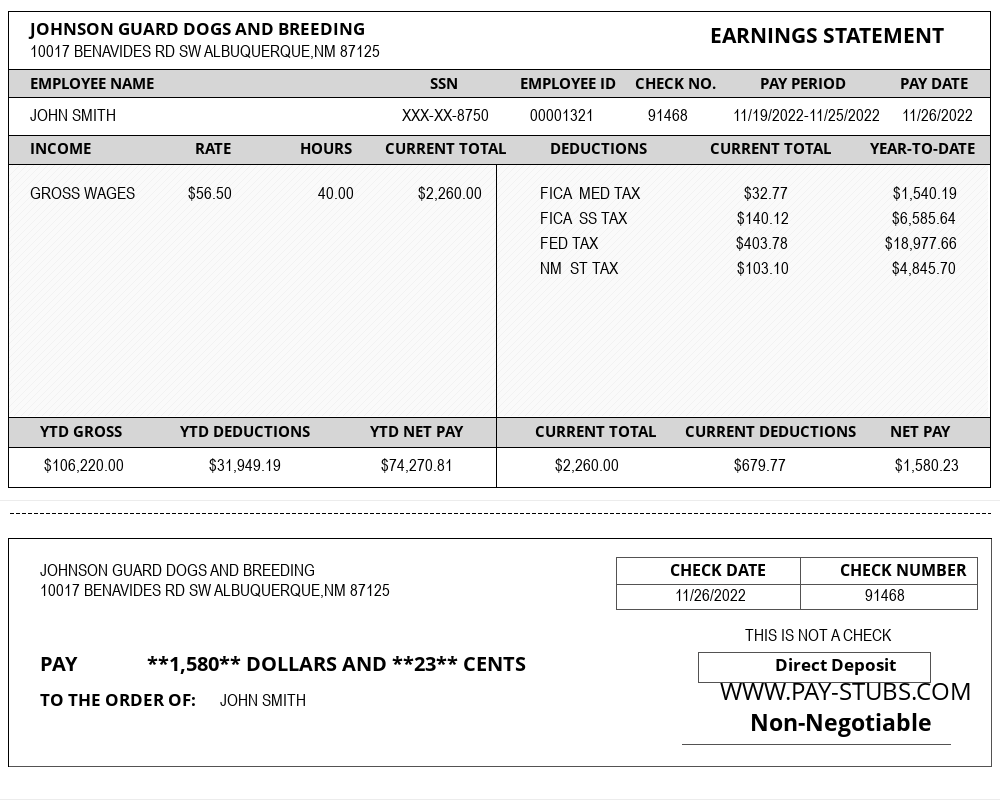 New Mexico Sample Pay Stub