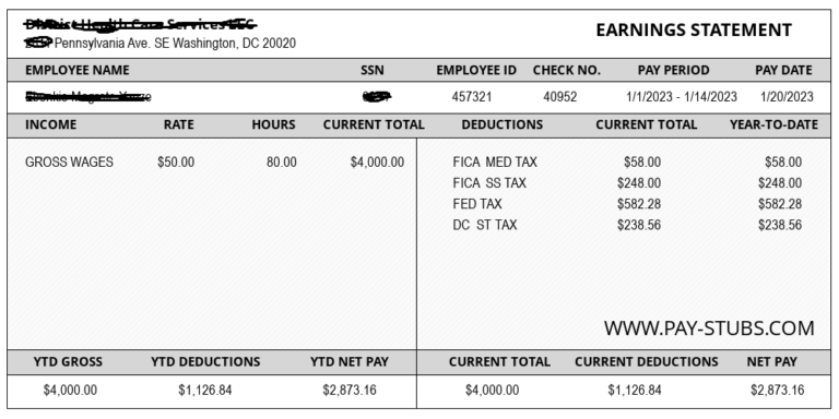 Washington D C Paystub Paystub Generator Pay Stubs com