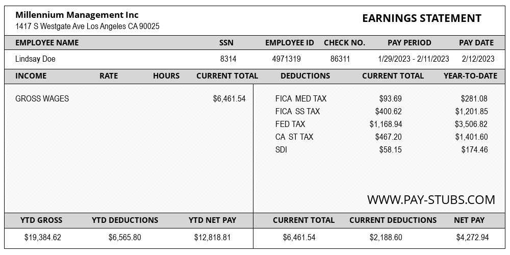 New Paystub Generator Paystub Generator Pay Stubs new-paystub-generator-paystub-generator-pay-stubs