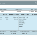 paystub-template6