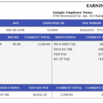North Carolina Paystub Example 2025