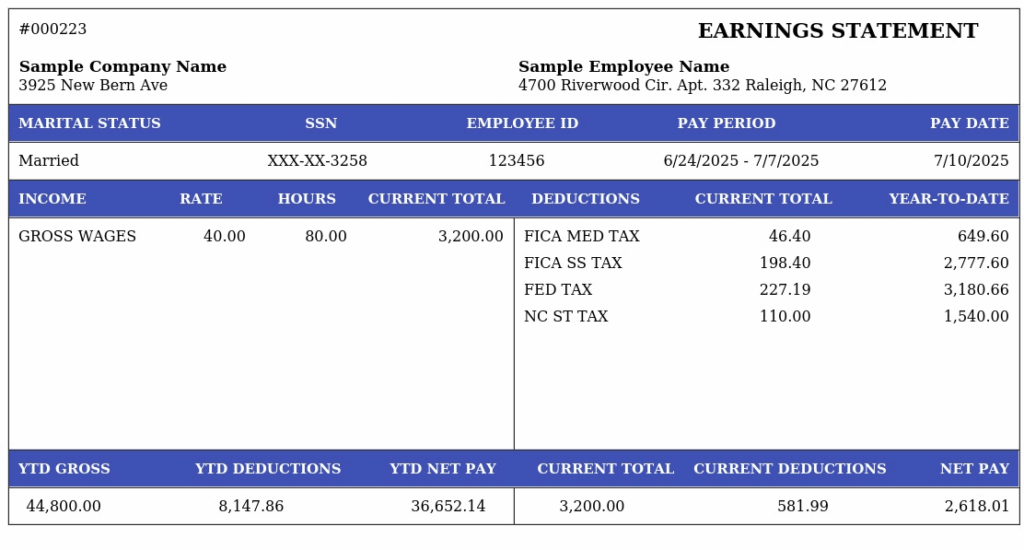 Paystub Template 8 - Sample NC Earnings Statement - pay-stubs.com