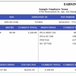 Paystub Template 8 – Sample NC Earnings Statement – pay-stubs.com