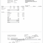 sample-paystub-template16